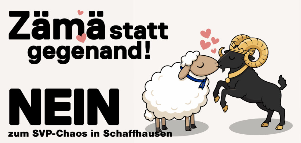 NEIN zum SVP-Chaos in Schaffhausen